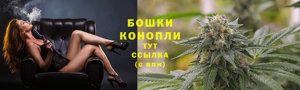 ПСИЛОЦИБИНОВЫЕ ГРИБЫ Лихославль
