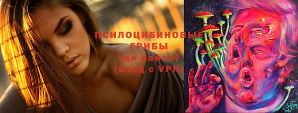ПСИЛОЦИБИНОВЫЕ ГРИБЫ Лихославль