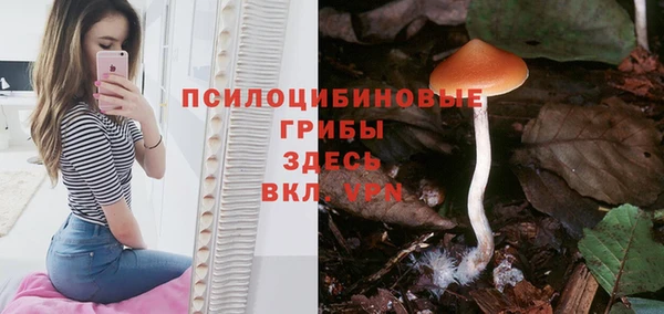 jwh Лиски