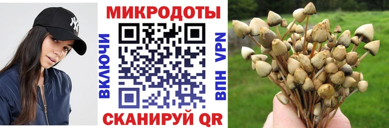 Псилоцибиновые грибы мицелий  Купить закладки  Вязьма 